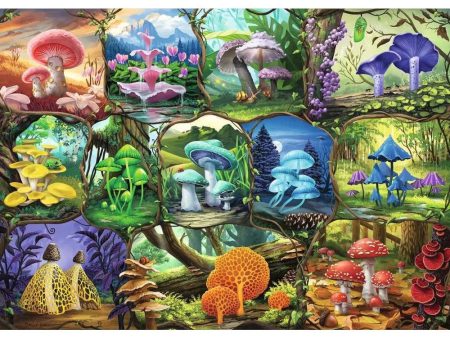 1000pc Beautiful Mushrooms Puzzle Online now