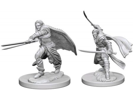 D&D Nolzur s Marvelous Unpainted Miniatures: Elf Male Ranger Cheap