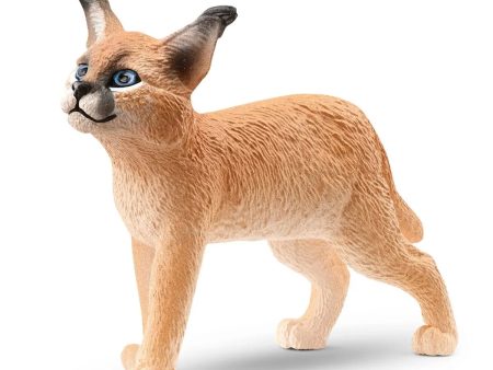 Caracal Baby Fashion