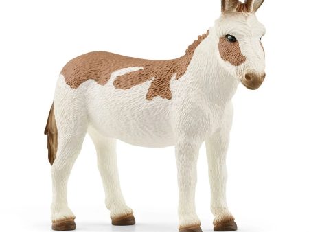 American Spotted Donkey on Sale