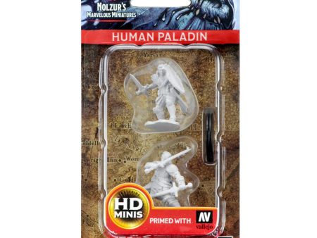 D&D Nolzur s Marvelous Unpainted Miniatures: Human Male Paladin Discount