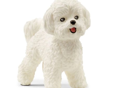 Bichon Frise Online Hot Sale