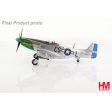 1 48 P-51D Mustang Daddys Girl 307th FS 359 FG Discount